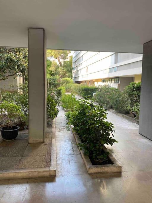 Apartment Prado Perier Proximite Velodrome Chanot *